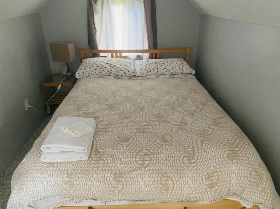 Artistic Apartment Near Downtown فكتوريا المظهر الخارجي الصورة