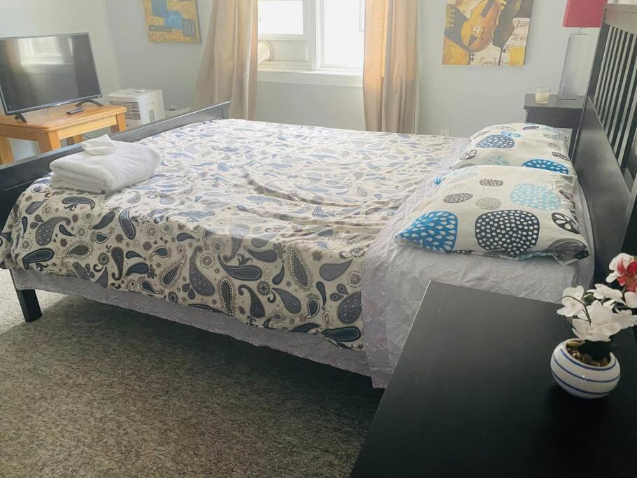 Artistic Apartment Near Downtown فكتوريا المظهر الخارجي الصورة